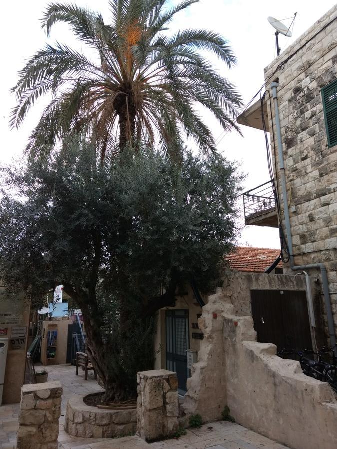 German Colony Guest House- Private And Dorm *